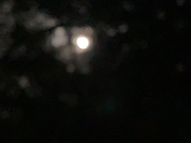 夜の多摩湖を走っている様子