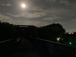 鹿島橋からの風景