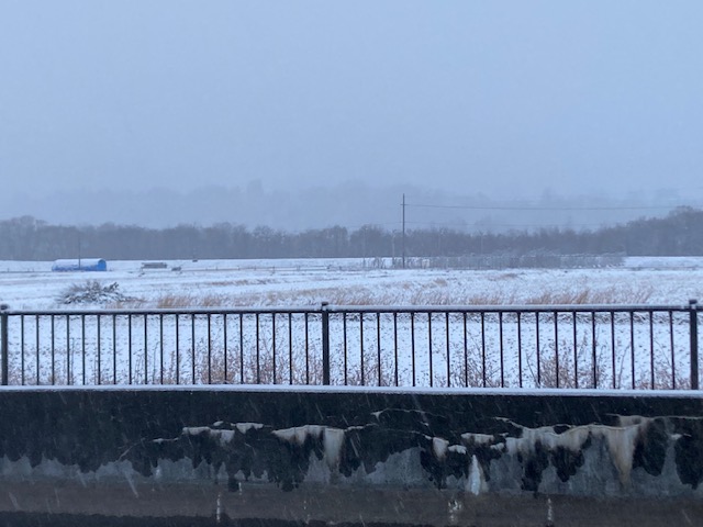 雪が降った波田の様子